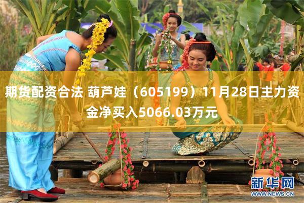 期货配资合法 葫芦娃（605199）11月28日主力资金净买入5066.03万元
