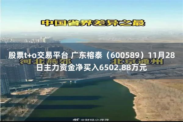 股票t+o交易平台 广东榕泰（600589）11月28日主力资金净买入6502.88万元