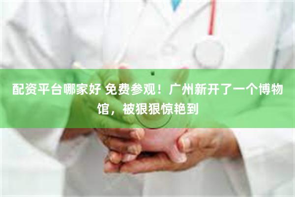 配资平台哪家好 免费参观！广州新开了一个博物馆，被狠狠惊艳到