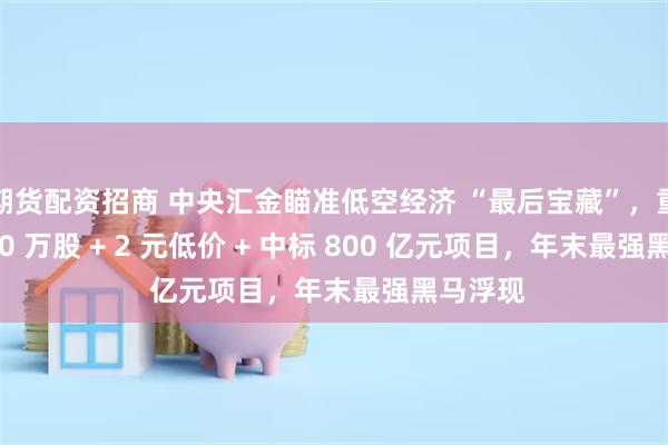 期货配资招商 中央汇金瞄准低空经济 “最后宝藏”，重仓 5800 万股 + 2 元低价 + 中标 800 亿元项目，年末最强黑马浮现