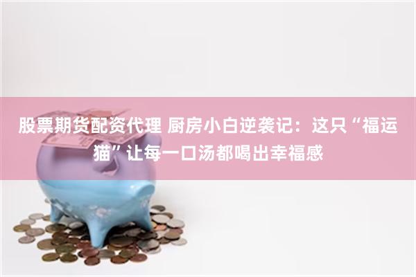 股票期货配资代理 厨房小白逆袭记：这只“福运猫”让每一口汤都喝出幸福感
