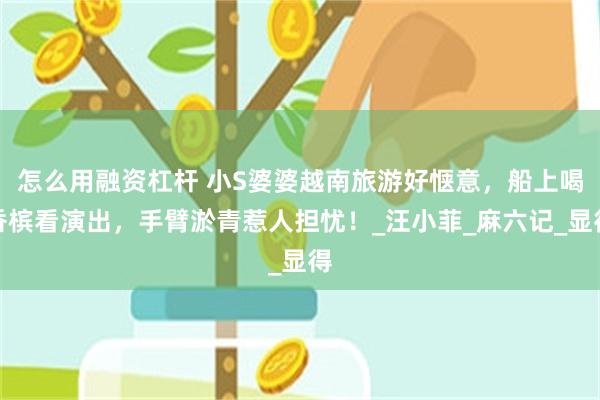 怎么用融资杠杆 小S婆婆越南旅游好惬意，船上喝香槟看演出，手臂淤青惹人担忧！_汪小菲_麻六记_显得