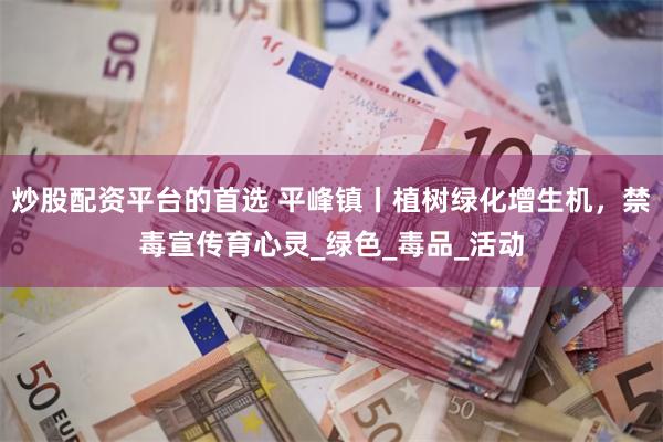 炒股配资平台的首选 平峰镇丨植树绿化增生机，禁毒宣传育心灵_绿色_毒品_活动