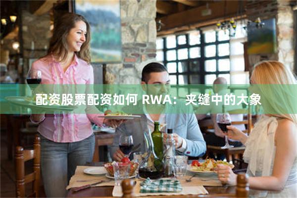 配资股票配资如何 RWA：夹缝中的大象