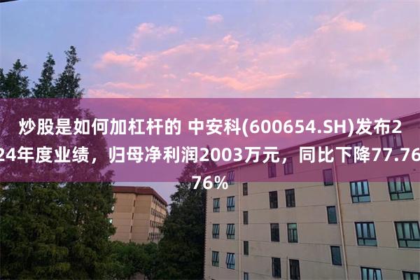 炒股是如何加杠杆的 中安科(600654.SH)发布2024年度业绩，归母净利润2003万元，同比下降77.76%