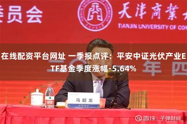 在线配资平台网址 一季报点评：平安中证光伏产业ETF基金季度涨幅-5.64%