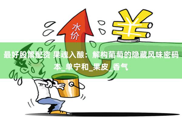 最好股票配资 果魂入酿：解构葡萄的隐藏风味密码本_单宁和_果皮_香气