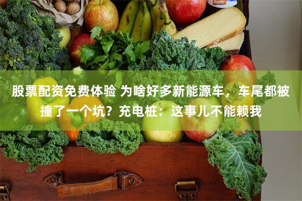 股票配资免费体验 为啥好多新能源车，车尾都被撞了一个坑？充电桩：这事儿不能赖我