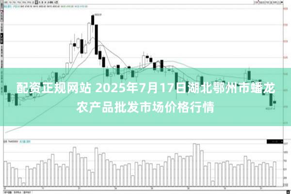 配资正规网站 2025年7月17日湖北鄂州市蟠龙农产品批发市场价格行情