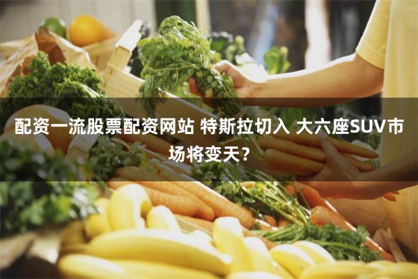 配资一流股票配资网站 特斯拉切入 大六座SUV市场将变天？