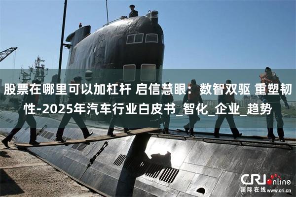 股票在哪里可以加杠杆 启信慧眼：数智双驱 重塑韧性-2025年汽车行业白皮书_智化_企业_趋势