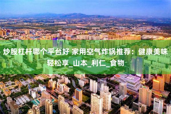 炒股杠杆哪个平台好 家用空气炸锅推荐：健康美味轻松享_山本_利仁_食物