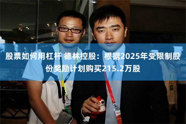 股票如何用杠杆 德林控股：根据2025年受限制股份奖励计划购买215.2万股