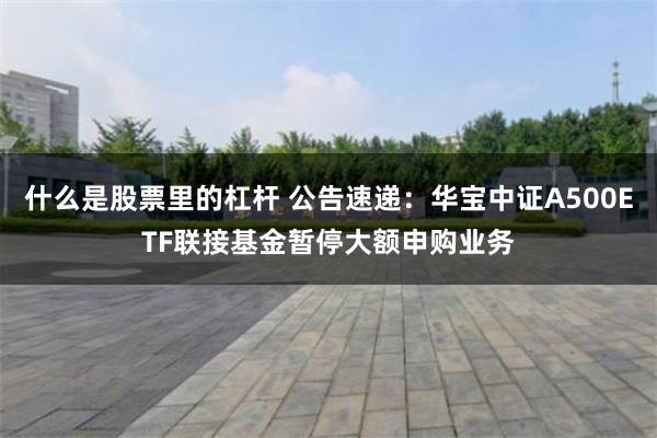什么是股票里的杠杆 公告速递:华宝中证A500ETF联接基金暂停大额申购业务