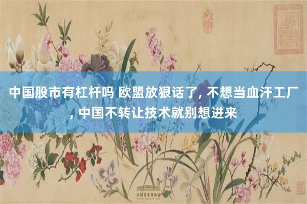 中国股市有杠杆吗 欧盟放狠话了, 不想当血汗工厂, 中国不转让技术就别想进来