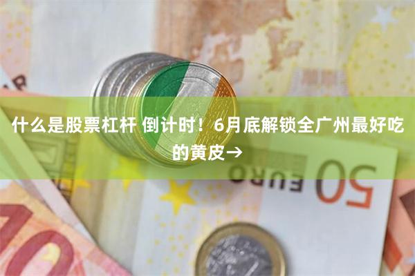 什么是股票杠杆 倒计时！6月底解锁全广州最好吃的黄皮→