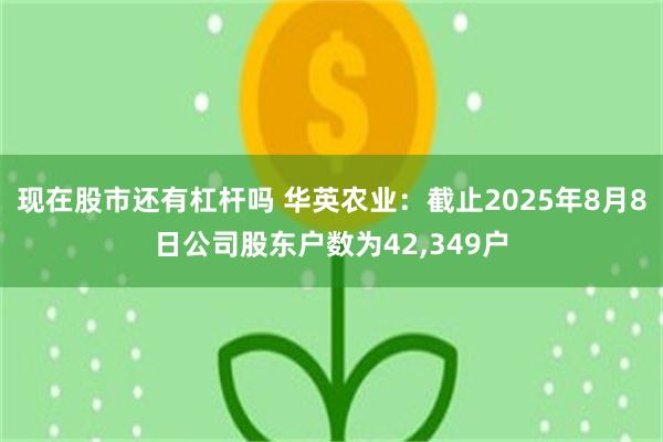 现在股市还有杠杆吗 华英农业：截止2025年8月8日公司股东户数为42,349户