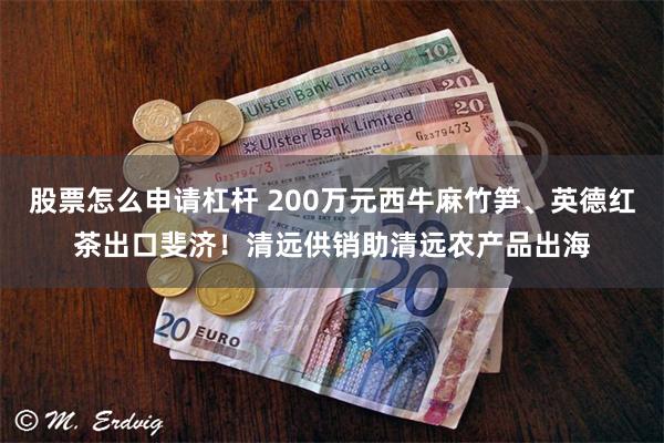 股票怎么申请杠杆 200万元西牛麻竹笋、英德红茶出口斐济！清远供销助清远农产品出海