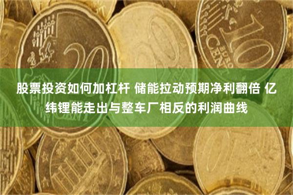 股票投资如何加杠杆 储能拉动预期净利翻倍 亿纬锂能走出与整车厂相反的利润曲线