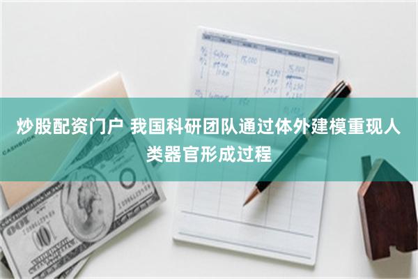 炒股配资门户 我国科研团队通过体外建模重现人类器官形成过程