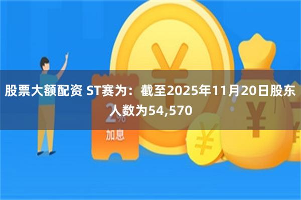 股票大额配资 ST赛为：截至2025年11月20日股东人数为54,570