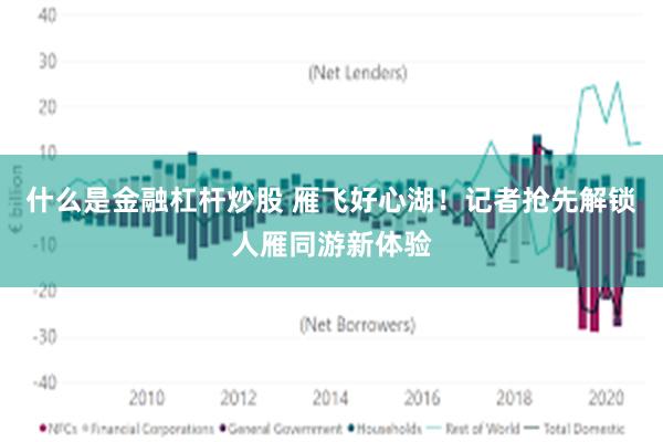 什么是金融杠杆炒股 雁飞好心湖！记者抢先解锁人雁同游新体验