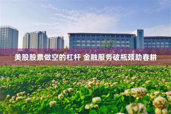 美股股票做空的杠杆 金融服务破瓶颈助春耕