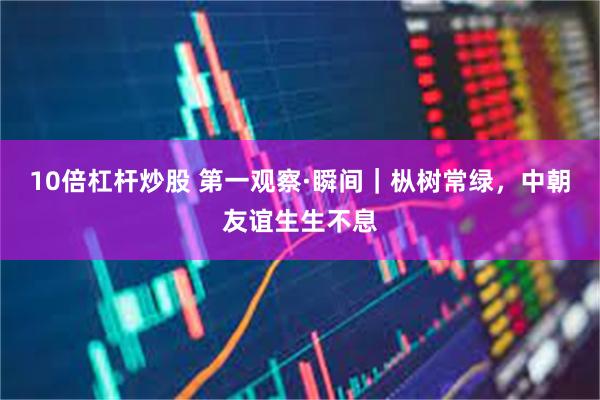 10倍杠杆炒股 第一观察·瞬间|枞树常绿,中朝友谊生生不息