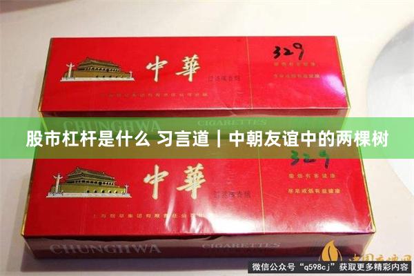 股市杠杆是什么 习言道|中朝友谊中的两棵树