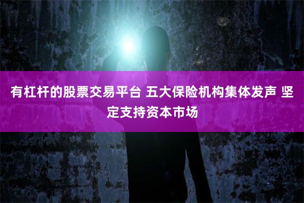 有杠杆的股票交易平台 五大保险机构集体发声 坚定支持资本市场