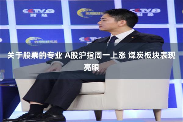 关于股票的专业 A股沪指周一上涨 煤炭板块表现亮眼