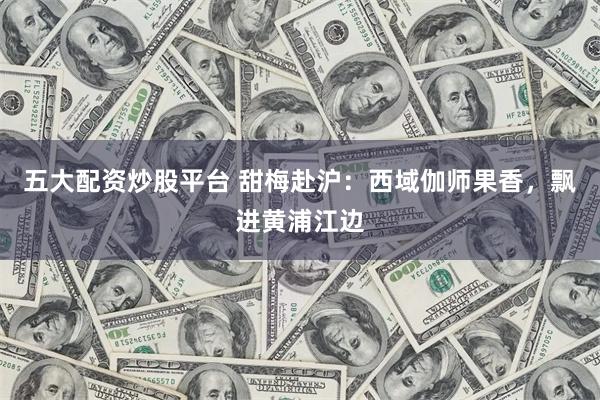 五大配资炒股平台 甜梅赴沪：西域伽师果香，飘进黄浦江边
