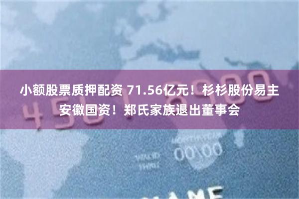 小额股票质押配资 71.56亿元！杉杉股份易主安徽国资！郑氏家族退出董事会