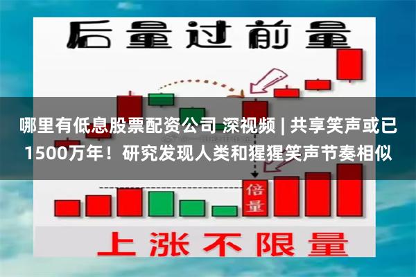 哪里有低息股票配资公司 深视频 | 共享笑声或已1500万年！研究发现人类和猩猩笑声节奏相似