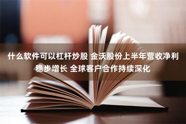 什么软件可以杠杆炒股 金沃股份上半年营收净利稳步增长 全球客户合作持续深化