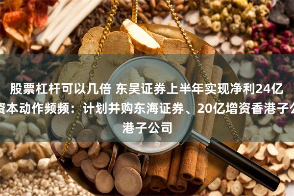 股票杠杆可以几倍 东吴证券上半年实现净利24亿，资本动作频频：计划并购东海证券、20亿增资香港子公司