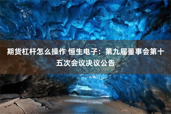 期货杠杆怎么操作 恒生电子：第九届董事会第十五次会议决议公告