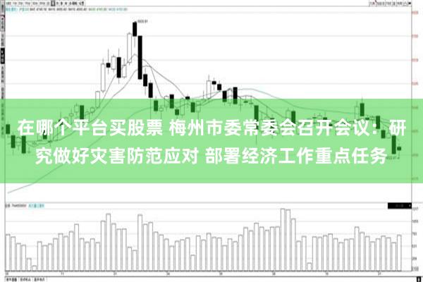 在哪个平台买股票 梅州市委常委会召开会议：研究做好灾害防范应对 部署经济工作重点任务