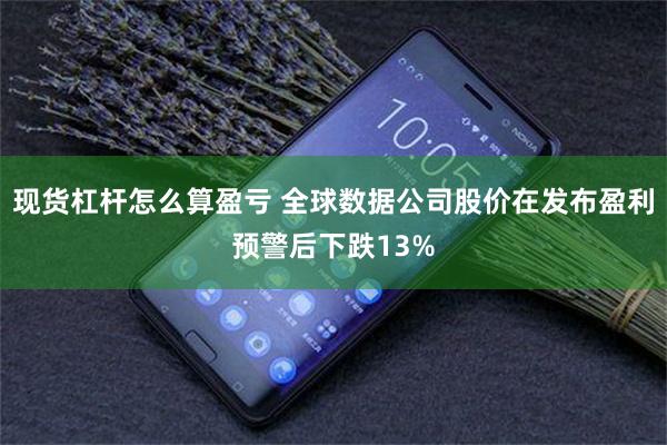 现货杠杆怎么算盈亏 全球数据公司股价在发布盈利预警后下跌13%