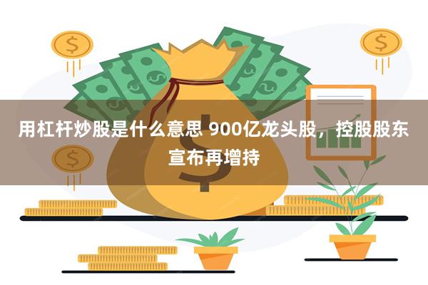 用杠杆炒股是什么意思 900亿龙头股，控股股东宣布再增持