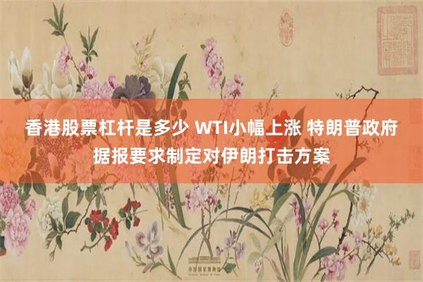 香港股票杠杆是多少 WTI小幅上涨 特朗普政府据报要求制定对伊朗打击方案