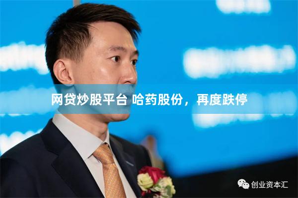 网贷炒股平台 哈药股份，再度跌停