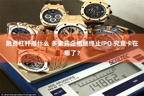 融资杠杆指什么 多家药企相继终止IPO 究竟卡在哪了?